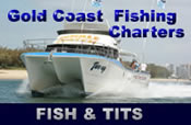 Gold Coast strippers fishing charters fish and tits